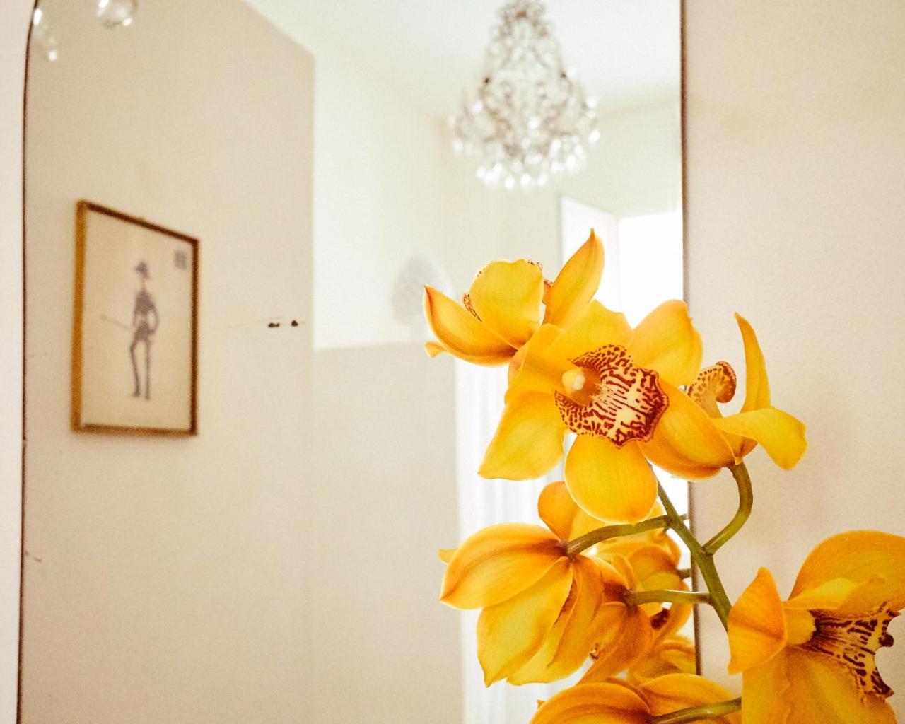 Casa Scianna Noto 호텔 외부 사진